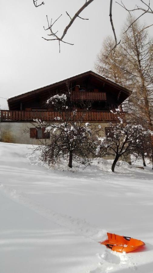 Bel Appartement Au Rez De Chaussee D'Un Chalet Jarrier エクステリア 写真