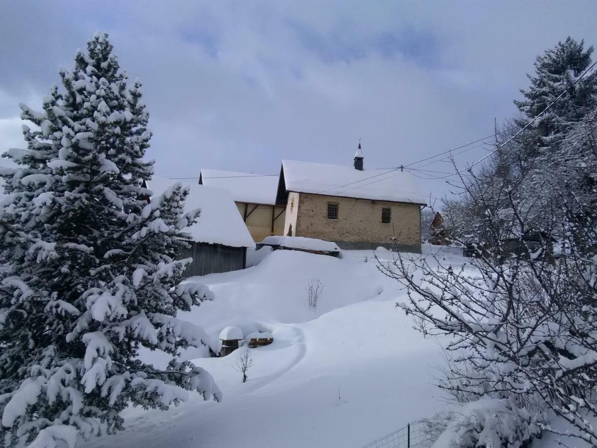 Bel Appartement Au Rez De Chaussee D'Un Chalet Jarrier エクステリア 写真